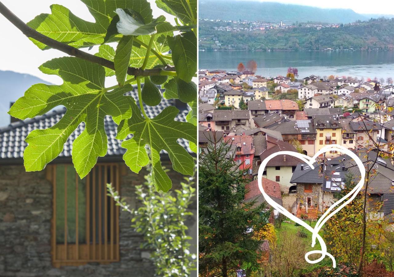 Agriturismo Farmhouse La Barberina Калчераника ал Лаго Екстериор снимка